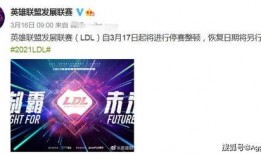 mmt最新爆料,行业变革背后的惊人内幕